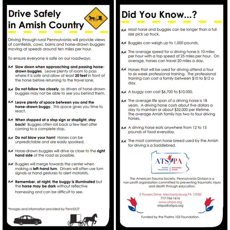 Two lists of driving safety tips in Amish Country.
